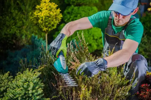 landscaping services Grayhawk